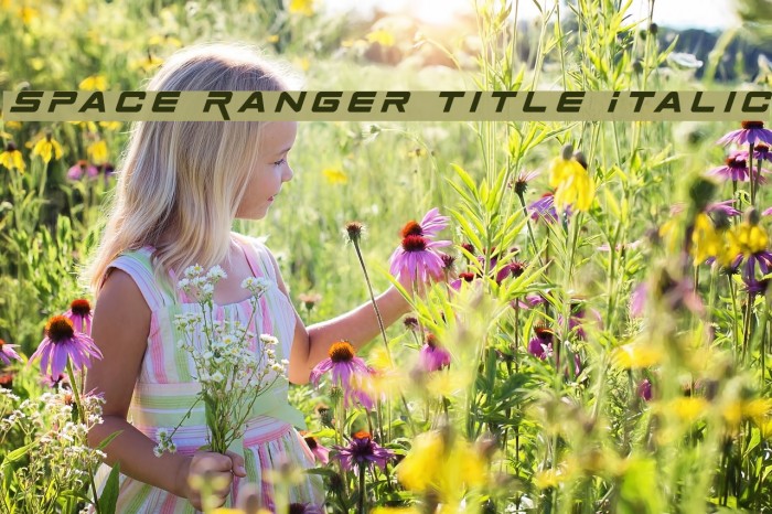 Space Ranger Title Italic Example 1
