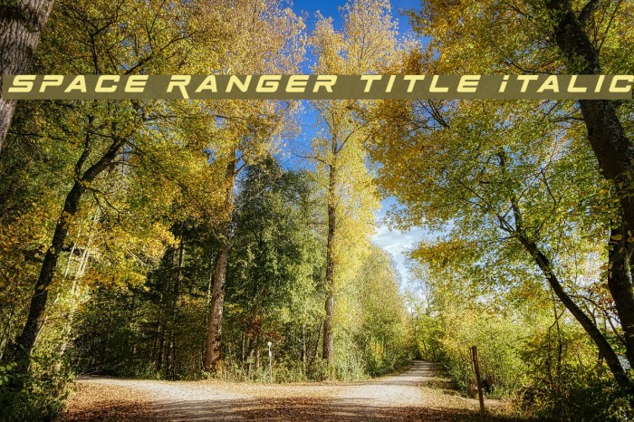 Space Ranger Title Italic Example 3