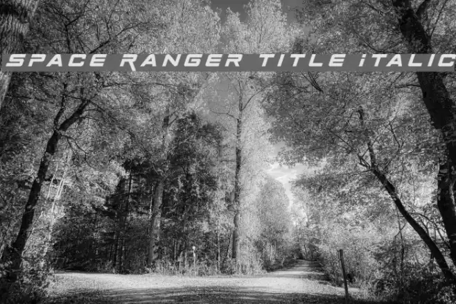 Space Ranger Title Italic Font examples