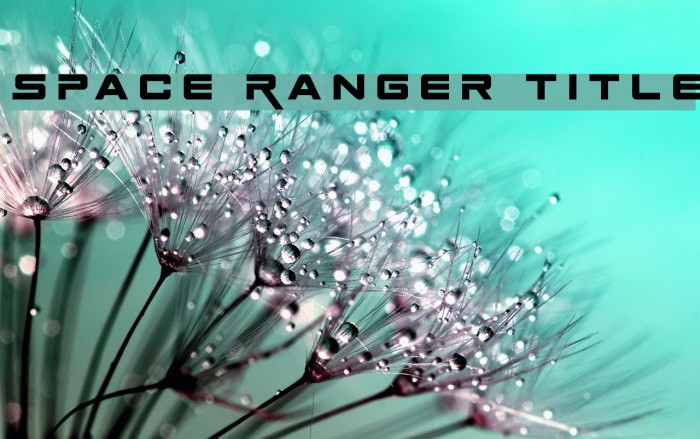 Space Ranger Title Example 1