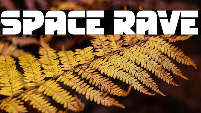 Space Rave Example 1