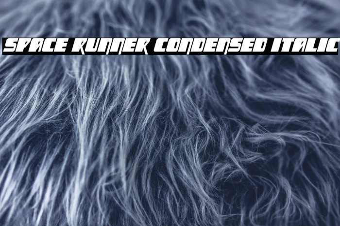 Space Runner Condensed Italic Example 2