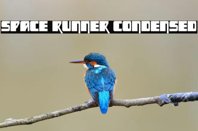 Space Runner Condensed Example 3