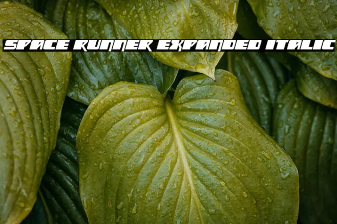 Space Runner Expanded Italic Example 3