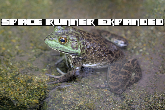 Space Runner Expanded Example 3