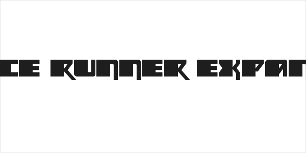Space Runner Expanded Logo