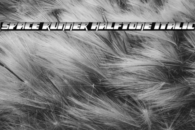 Space Runner Halftone Italic Font examples