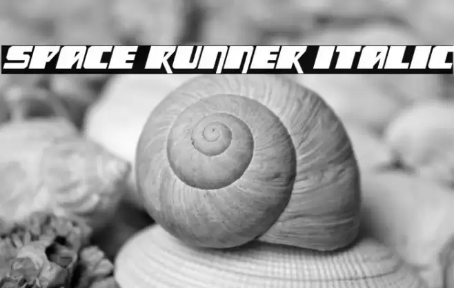 Space Runner Italic Font examples