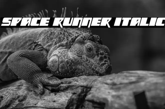 Space Runner Italic Font examples