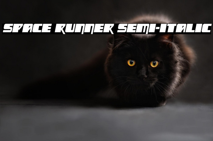 Space Runner Semi-Italic Example 3