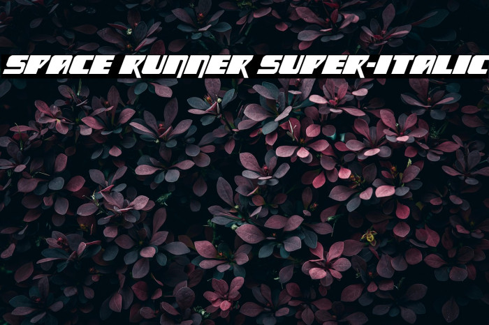 Space Runner Super-Italic Example 2