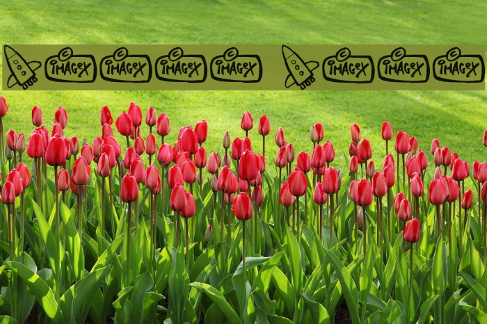 Space Shop Example 1