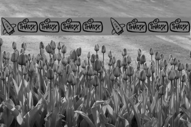 Space Shop Font examples