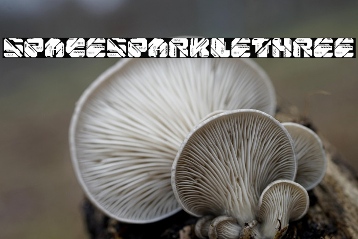 Space Sparkle Three Example 1