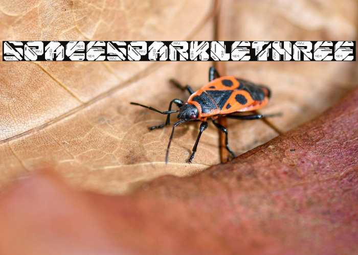 Space Sparkle Three Example 3