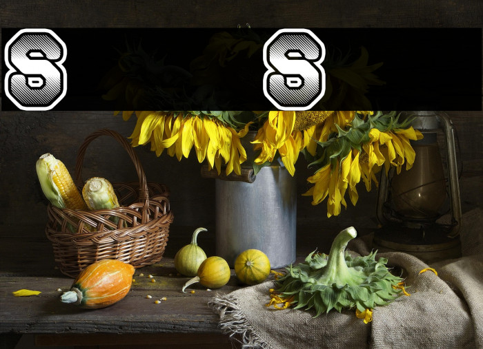 Space Sport Example 1