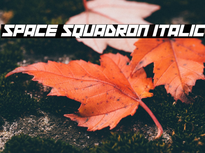 Space Squadron Italic Font examples