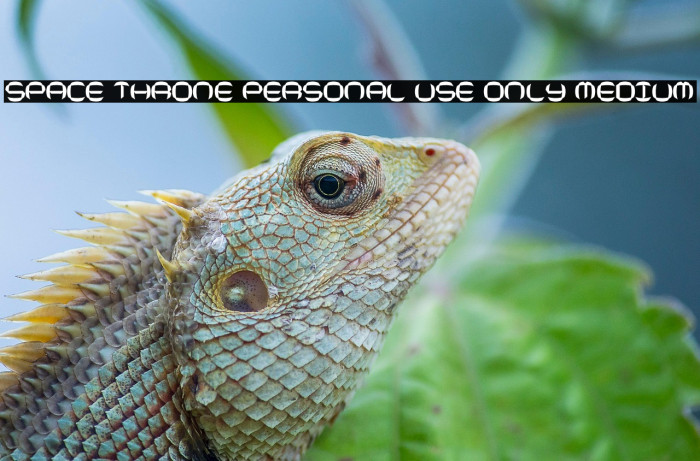 Space Throne PERSONAL USE ONLY Medium Example 1