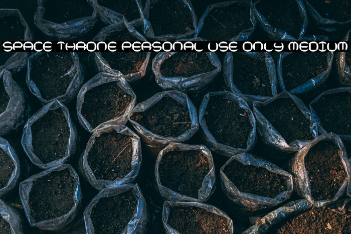 Space Throne PERSONAL USE ONLY Medium Example 3