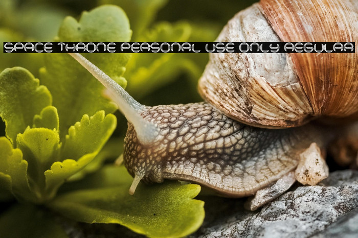 Space Throne PERSONAL USE ONLY Regular Example 3