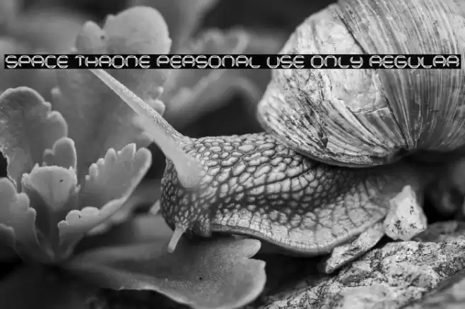 Space Throne PERSONAL USE ONLY Regular Font examples