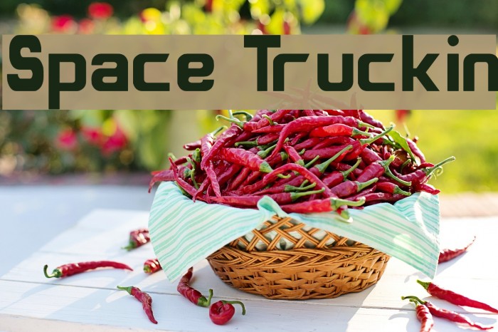 Space Truckin Font examples