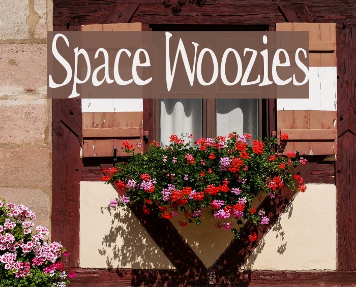 Space Woozies Polices examples