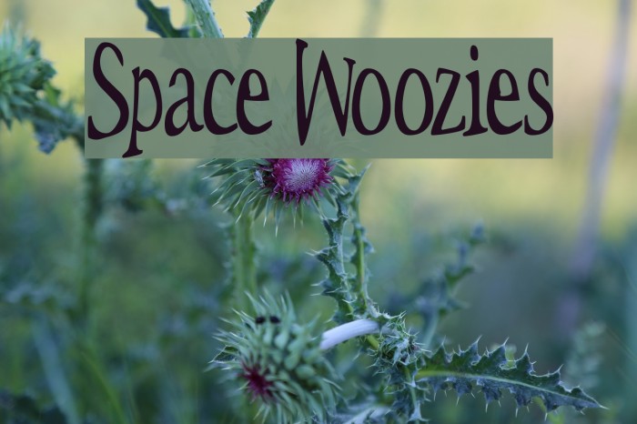 Space Woozies Polices examples