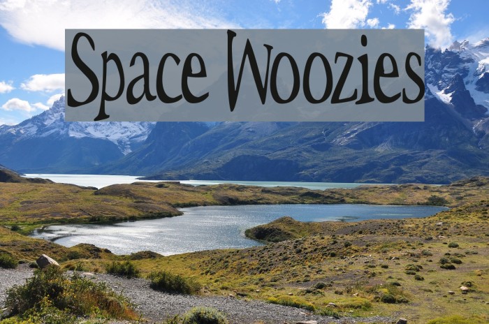 Space Woozies Polices examples