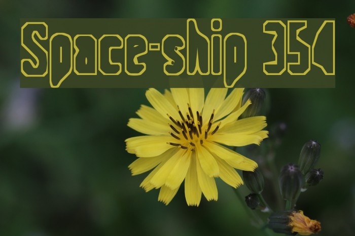 Space-ship 354 Font examples