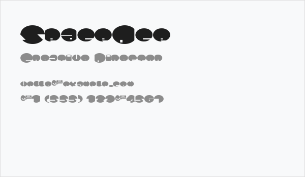 SpaceAce Business Card