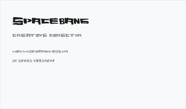 SpaceBang Business Card
