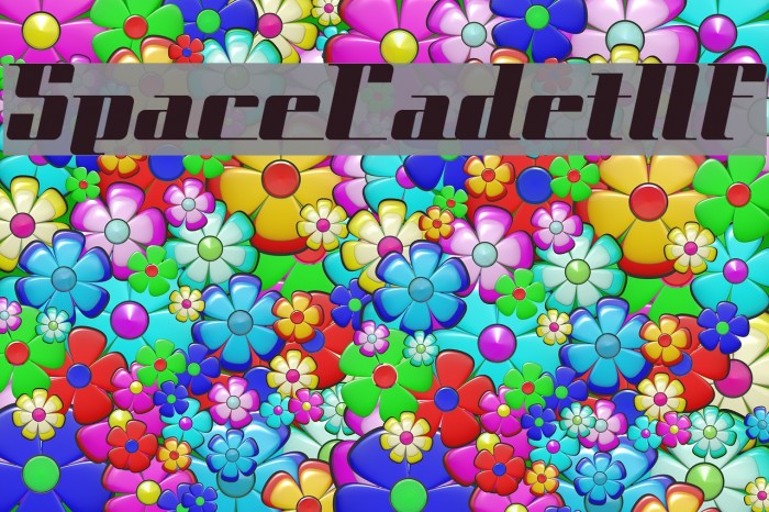 SpaceCadetNF Font examples
