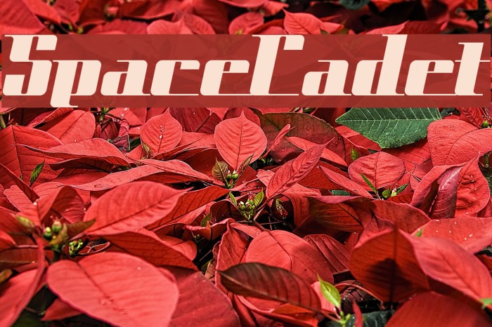 SpaceCadet Example 1