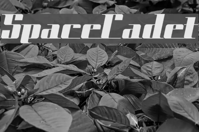 SpaceCadet Font examples