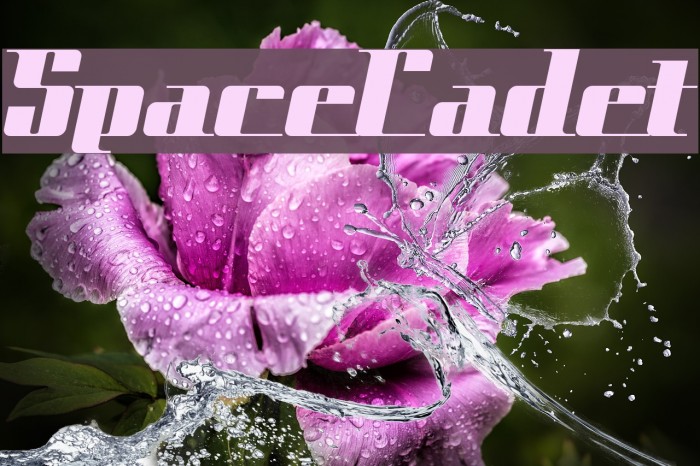 SpaceCadet Example 3