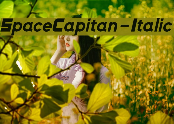 SpaceCapitan-Italic Font examples