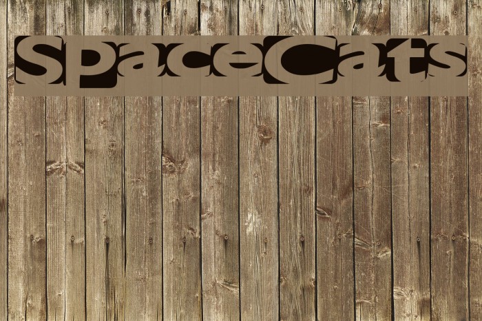 SpaceCats 字体 examples