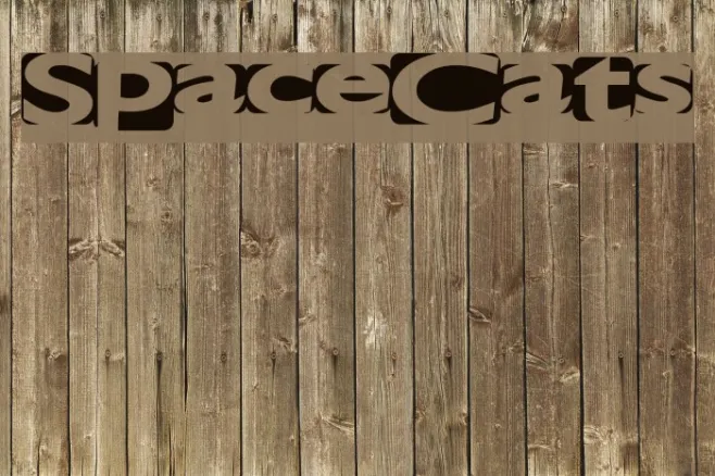SpaceCats Example 3