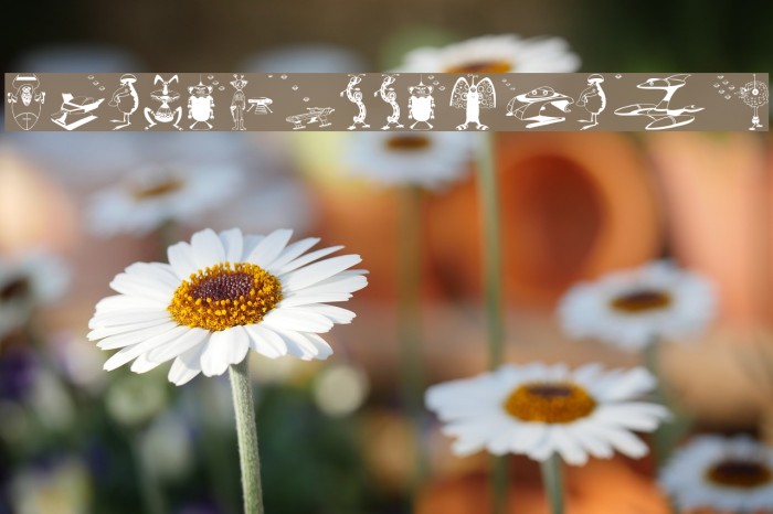 SpaceCommedians Example 3