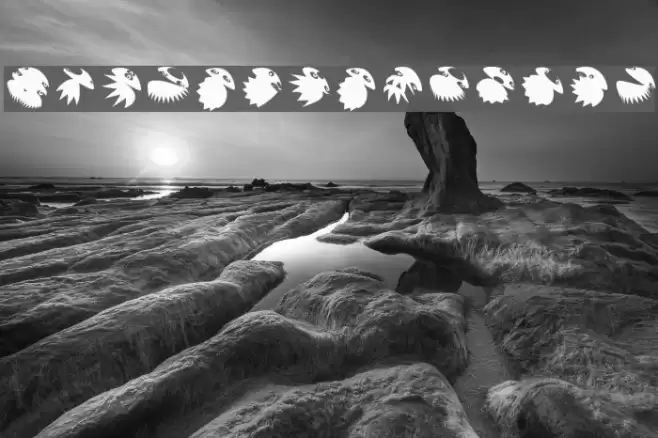 SpaceCrewRound Polices examples