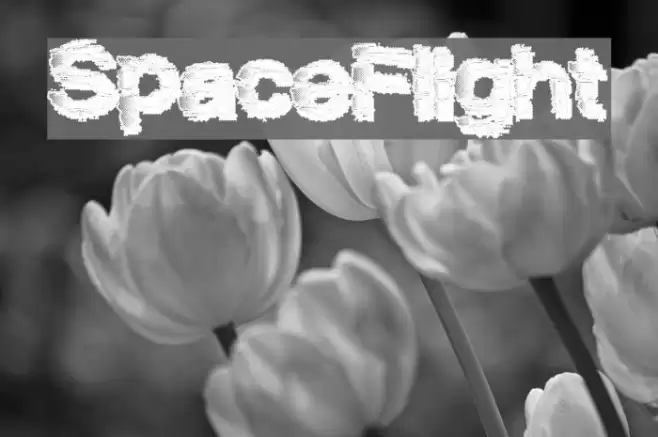 SpaceFlight Font examples