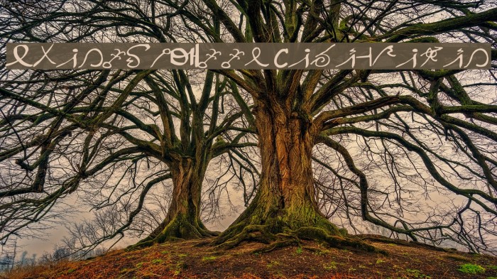 SpaceInKees Caligrafic Example 1