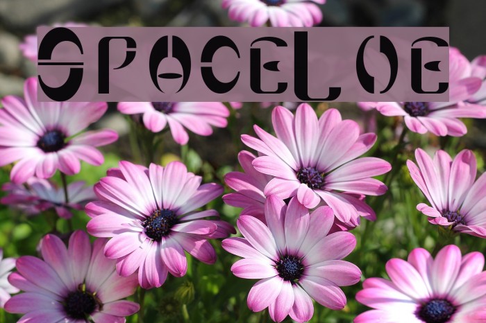 SpaceLove Font examples
