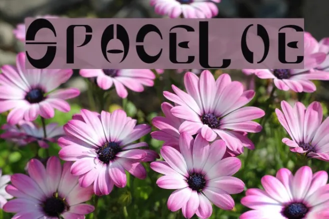 SpaceLove Example 1