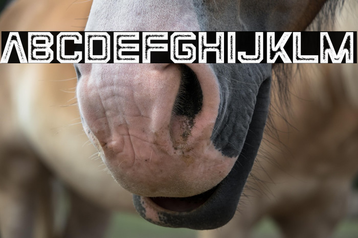 SpaceMavericks Example 2