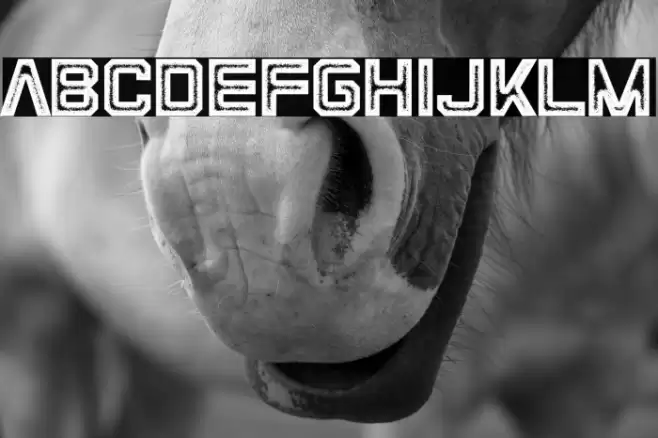 SpaceMavericks Font examples