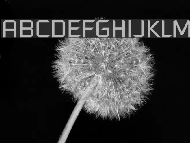 SpaceOne Font examples