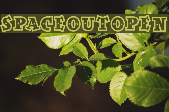 SpaceOutOpen Font examples