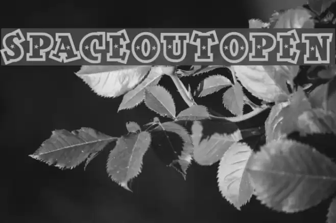 SpaceOutOpen Шрифта examples